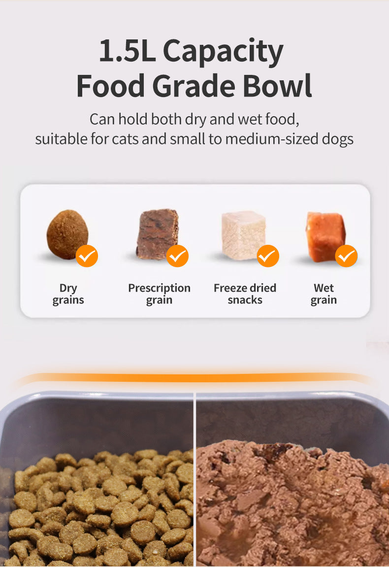 Pet smart chip automatic induction feeder for cats and dogs with regular and quantitative dry and wet food, general special pets, special anti-robbery