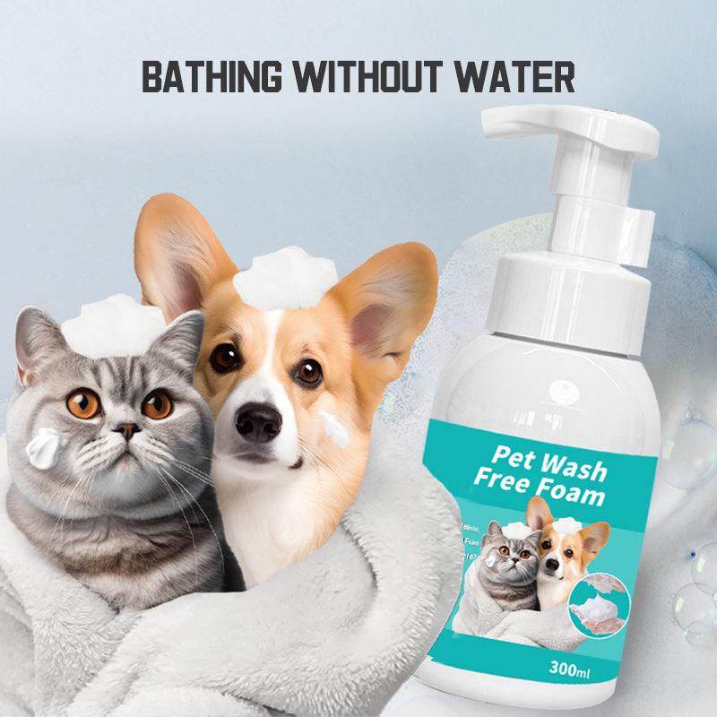 Pet supplies, pet dry cleaning foam, dogs, cats, decontamination, fragrance, and non-washing