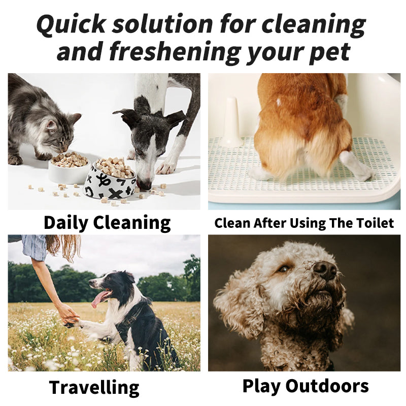 Pet supplies, pet wipes, 80 pumps, dogs and cats, special wipes, disposable disposable disposable cleaning