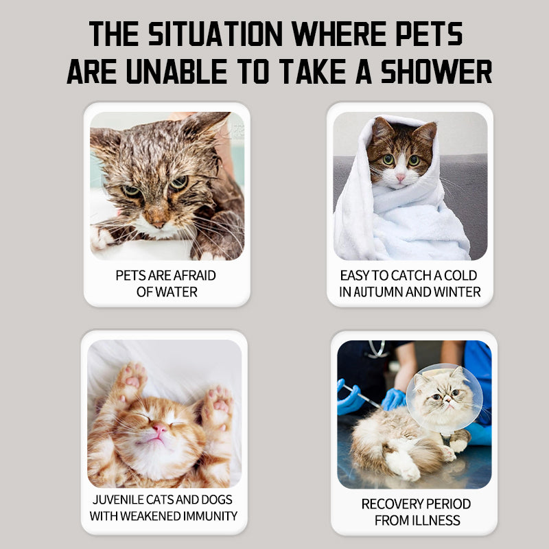 Pet supplies, pet dry cleaning foam, dogs, cats, decontamination, fragrance, and non-washing