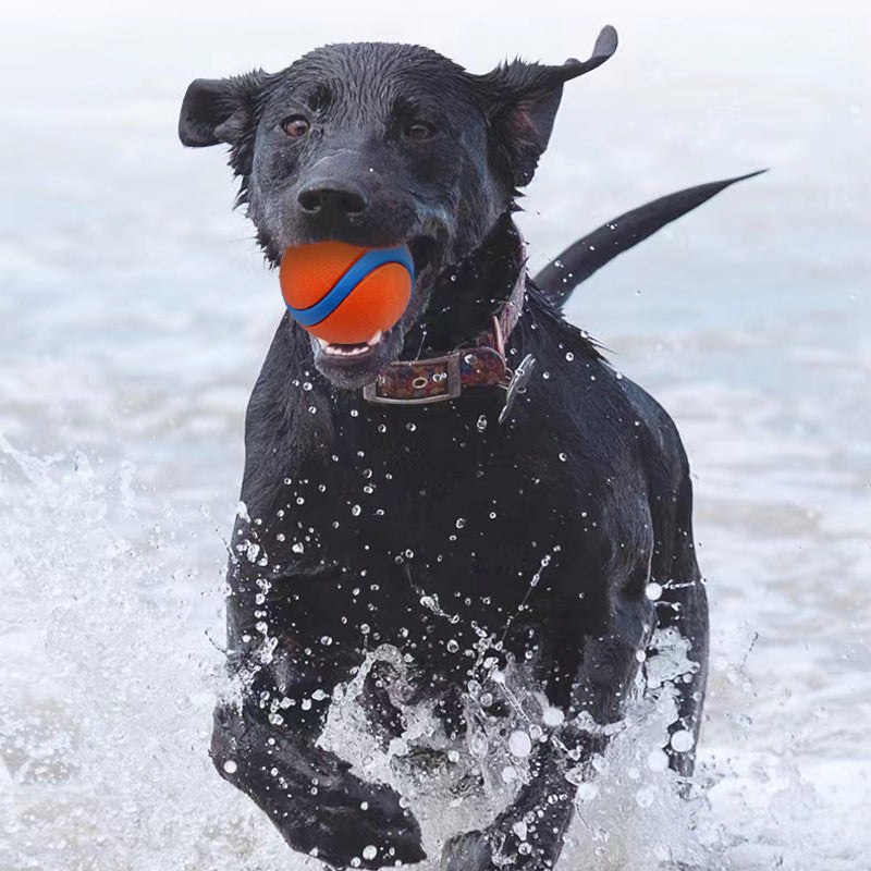 Self-hi boredom elastic ball molars solid ball outdoor pet toys