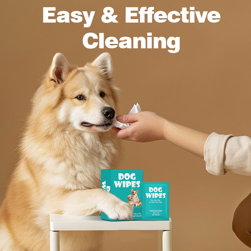 Pet supplies, pet hand free covers, cats and dogs, bath cleaning, dry cleaning, wipes, gloves, deodorization