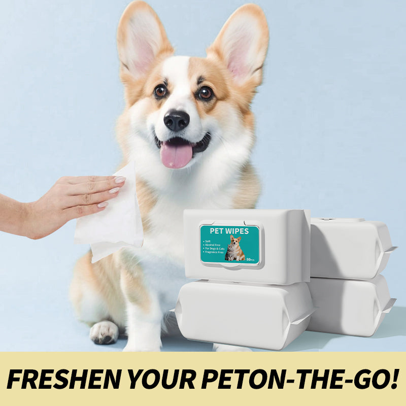 Pet supplies, pet wipes, 80 pumps, dogs and cats, special wipes, disposable disposable disposable cleaning