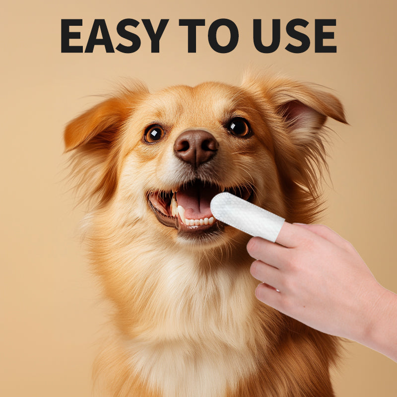 Pet Supplies, Pet Scaling Finger Covers, Wipes, Disposable Finger Toothbrushes, Dogs and Cats, Oral Cleaning