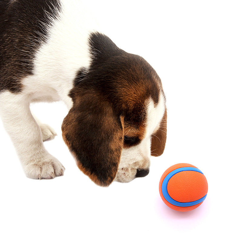 Self-hi boredom elastic ball molars solid ball outdoor pet toys