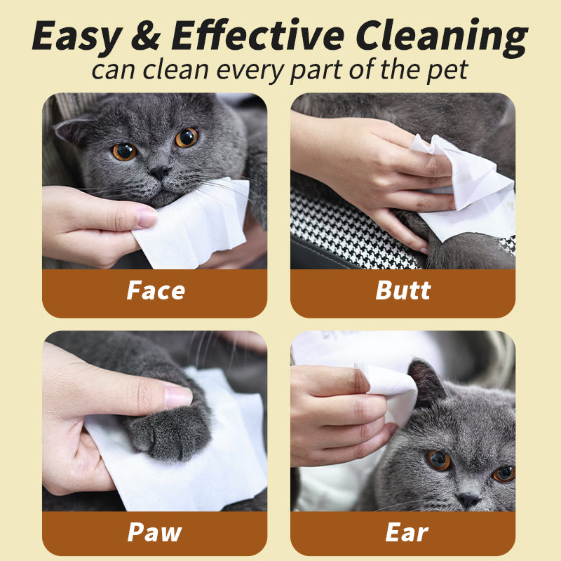 Pet supplies, pet wipes, 80 pumps, dogs and cats, special wipes, disposable disposable disposable cleaning