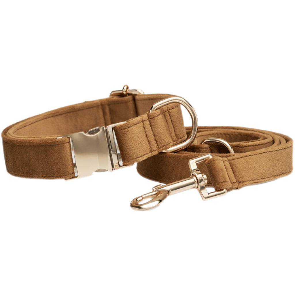 Pet collars