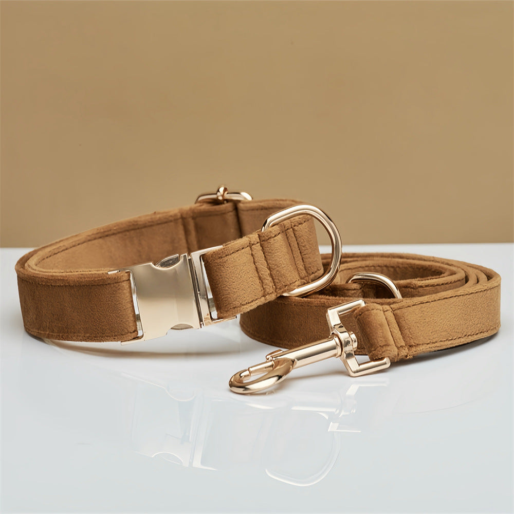 Luxury soft velvet dog collar, featuring a durable metal buckle, suitable for stylish and comfortable walks and runs.