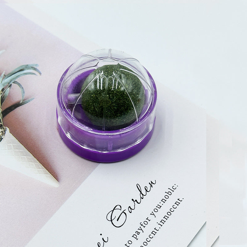 ColorSpin Catnip Ball: Rotating Feline Bliss