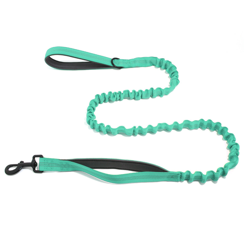 Dog elastic leash