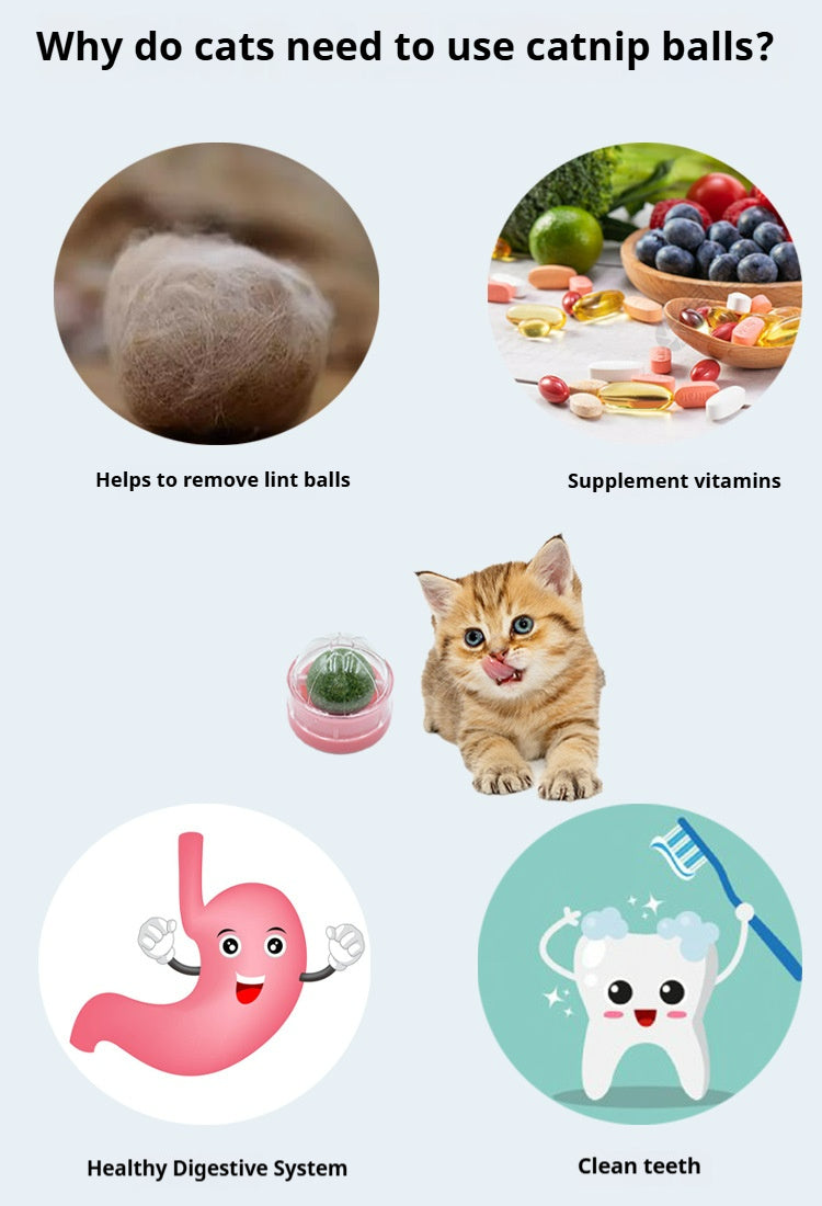 ColorSpin Catnip Ball: Rotating Feline Bliss