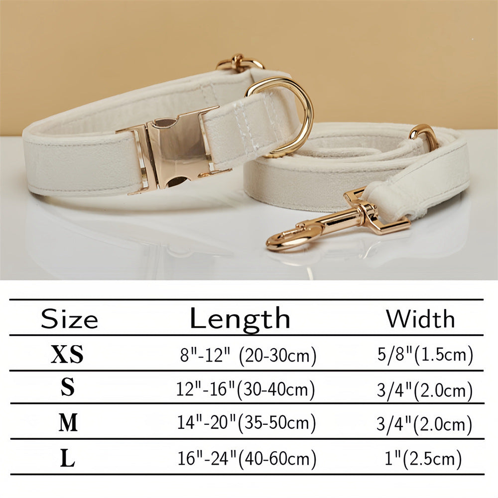 Luxury soft velvet dog collar, featuring a durable metal buckle, suitable for stylish and comfortable walks and runs.