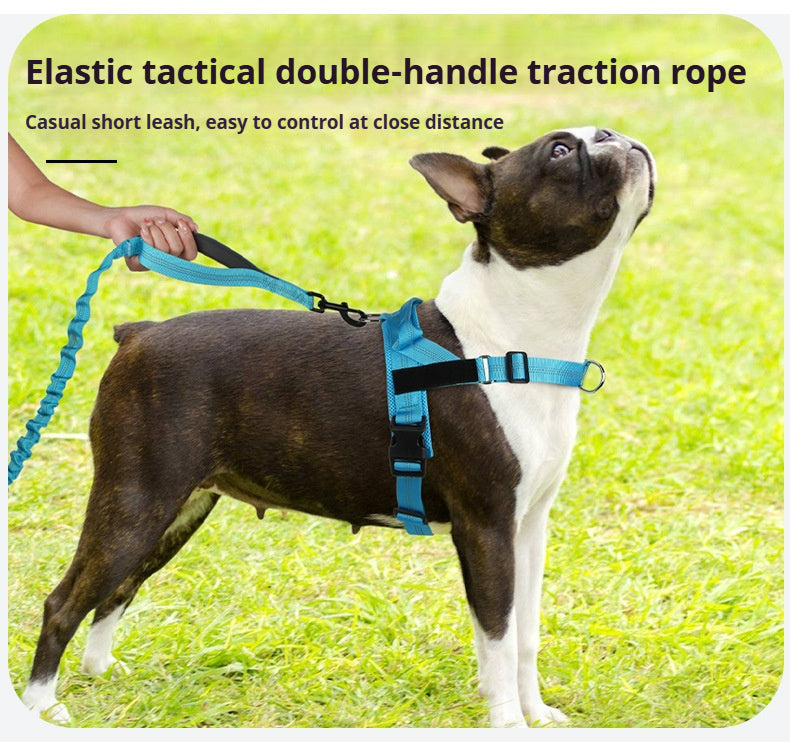 Dog elastic leash