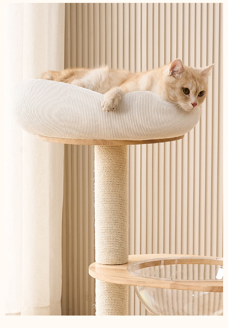 Solid wood cat climbing frame, cat nest, cat tree, integrated vertical cat scratching board, small household, non-occupied, cat climbing shelf, scratchable