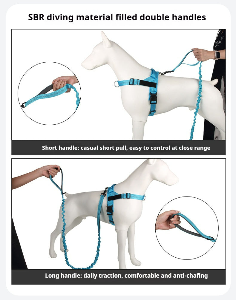 Dog elastic leash