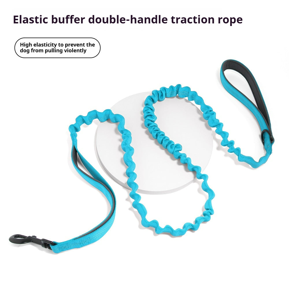 Dog elastic leash