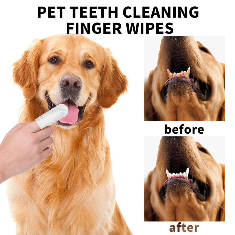 Pet Supplies, Pet Scaling Finger Covers, Wipes, Disposable Finger Toothbrushes, Dogs and Cats, Oral Cleaning