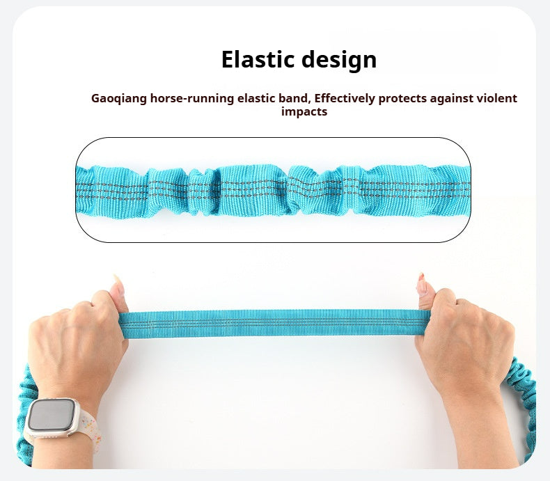 Dog elastic leash