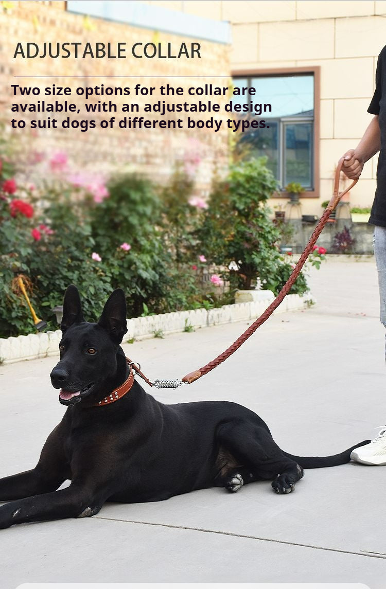 Leather dog leash for Golden Retriever and German Shepherd