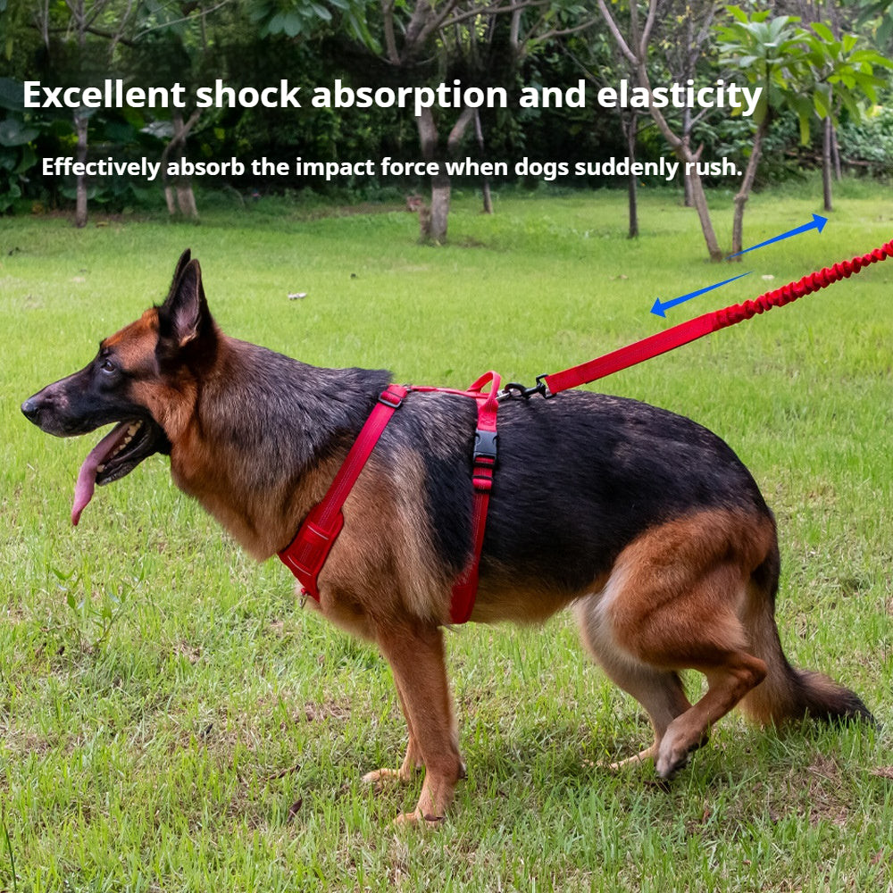Dog elastic leash