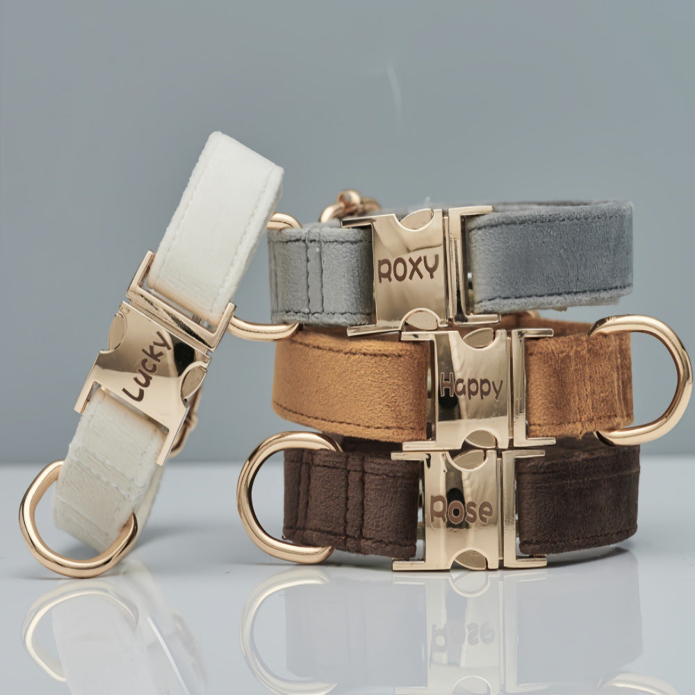 Luxury soft velvet dog collar, featuring a durable metal buckle, suitable for stylish and comfortable walks and runs.