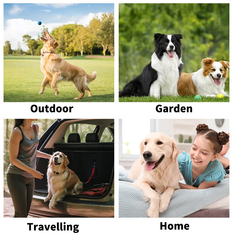 Pet supplies, pet hand free covers, cats and dogs, bath cleaning, dry cleaning, wipes, gloves, deodorization