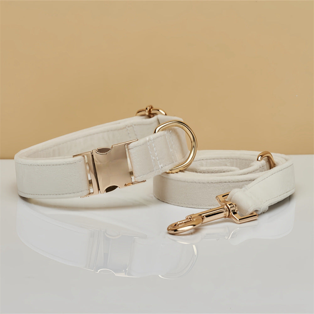Luxury soft velvet dog collar, featuring a durable metal buckle, suitable for stylish and comfortable walks and runs.