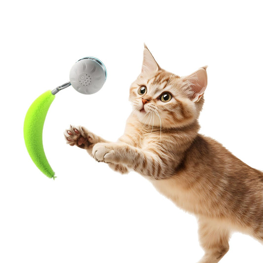 Smart Interactive Cat Toy Ball