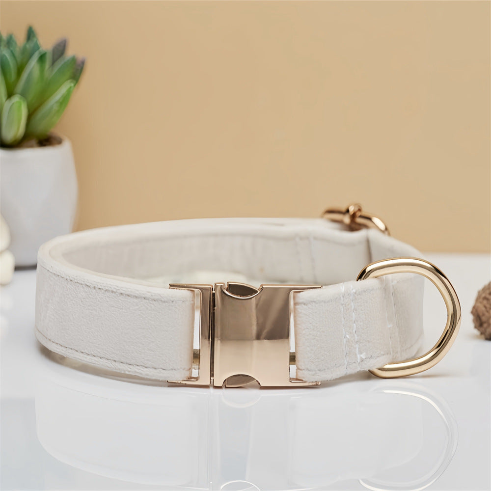 Luxury soft velvet dog collar, featuring a durable metal buckle, suitable for stylish and comfortable walks and runs.