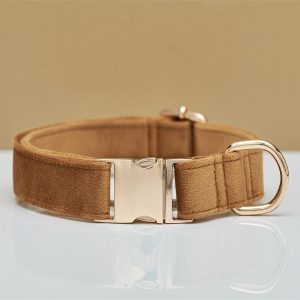 Luxury soft velvet dog collar, featuring a durable metal buckle, suitable for stylish and comfortable walks and runs.