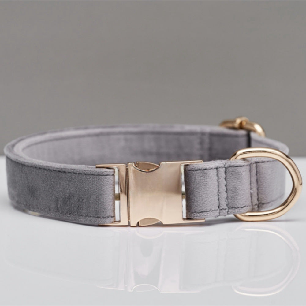 Luxury soft velvet dog collar, featuring a durable metal buckle, suitable for stylish and comfortable walks and runs.